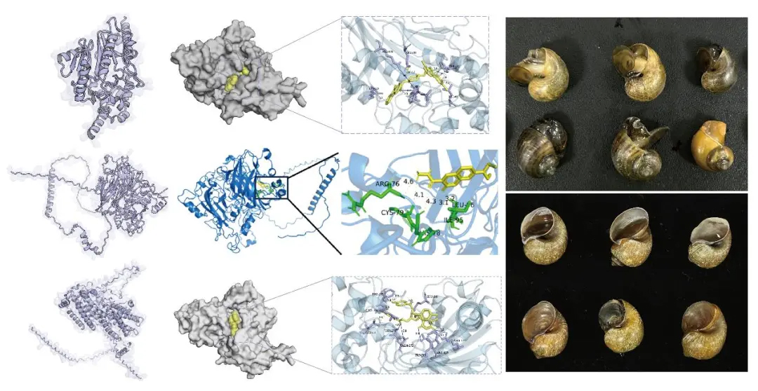 科研团队 | 四川农业大学农业重大有害生物可持续控制研究团队